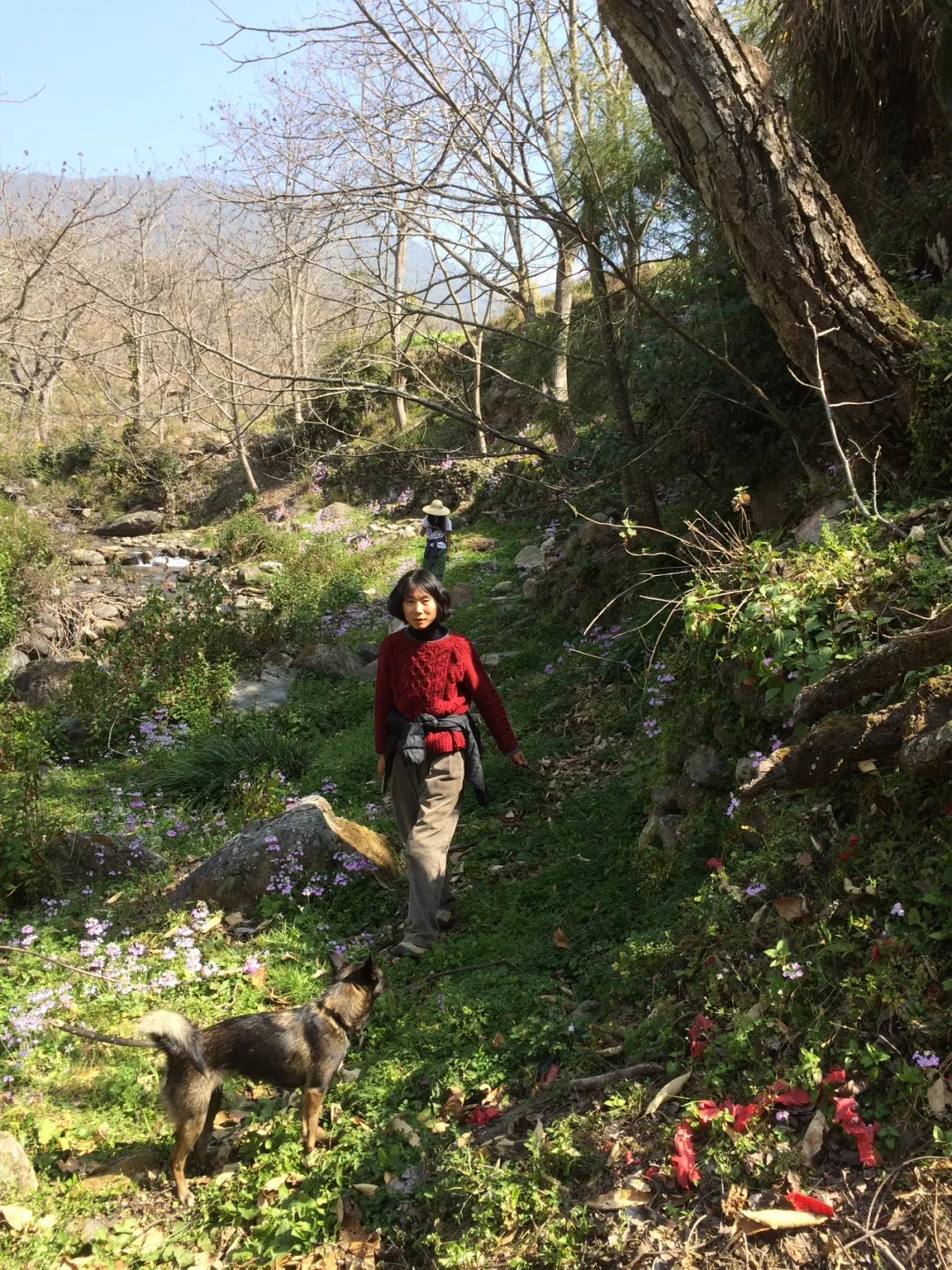 西の山の中の「親戚」の家で過ごした一日 | 苍山の反対側 