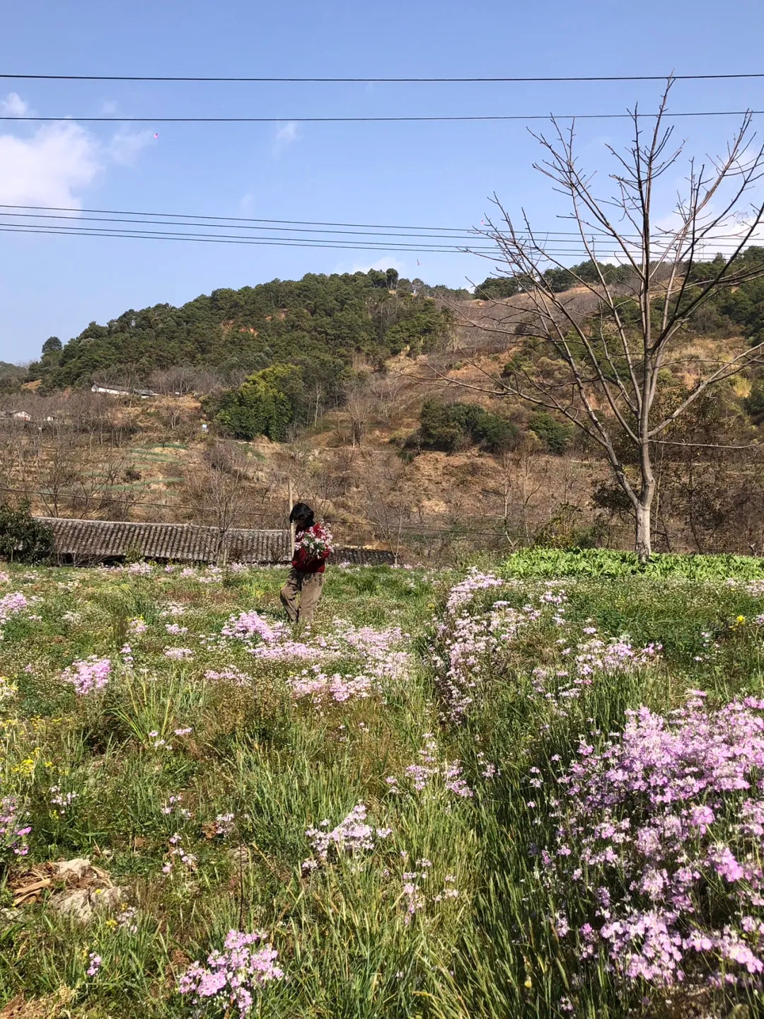 Un día en la casa de un &quot;pariente&quot; en las profundas montañas de Xipo | El otro lado de la montaña Cangshan