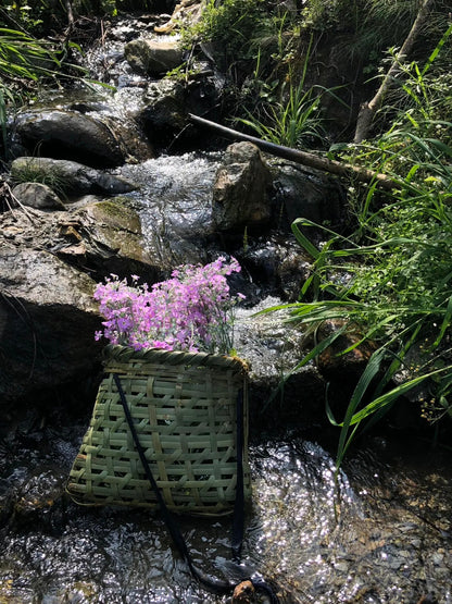 西の山の中の「親戚」の家で過ごした一日 | 苍山の反対側 