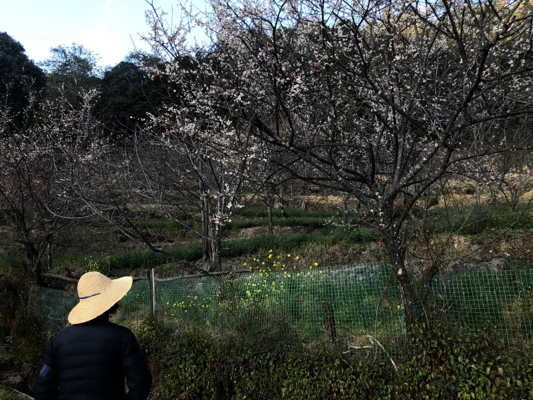 시포 깊은 산 속 &#39;친척&#39; 집에서 보낸 하루 | 창산의 저편