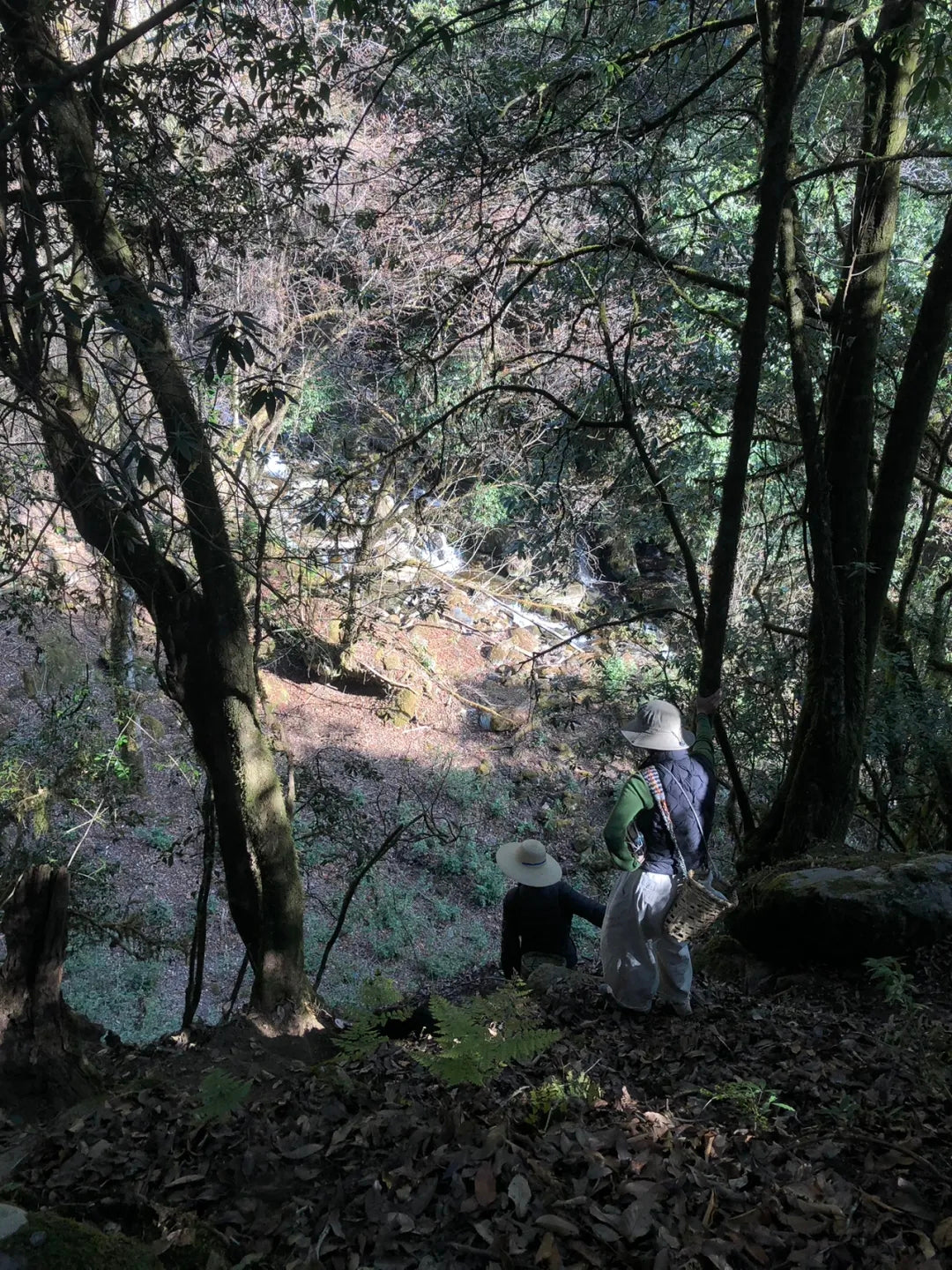 西の山の中の「親戚」の家で過ごした一日 | 苍山の反対側 