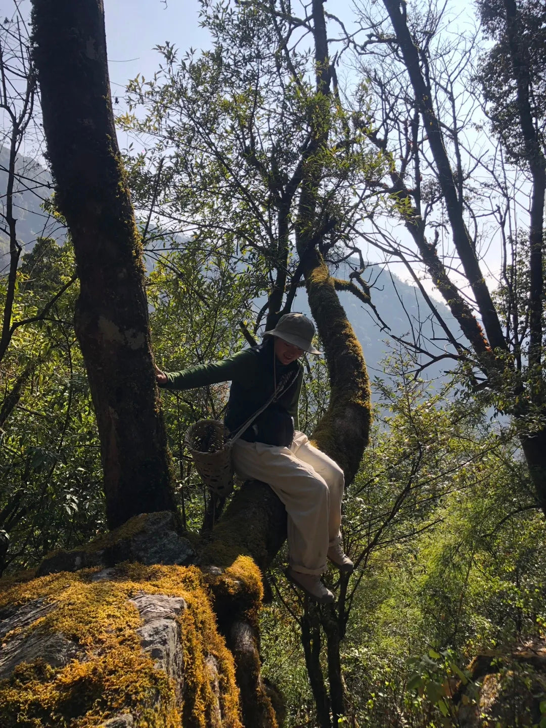 Un día en la casa de un &quot;pariente&quot; en las profundas montañas de Xipo | El otro lado de la montaña Cangshan