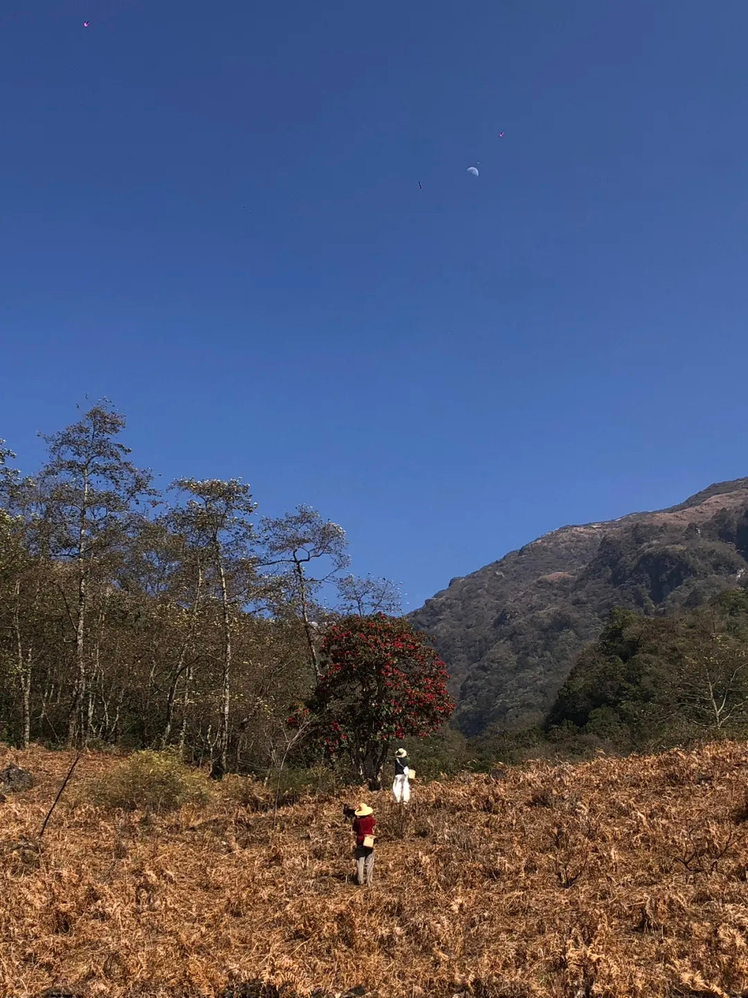 Un día en la casa de un &quot;pariente&quot; en las profundas montañas de Xipo | El otro lado de la montaña Cangshan