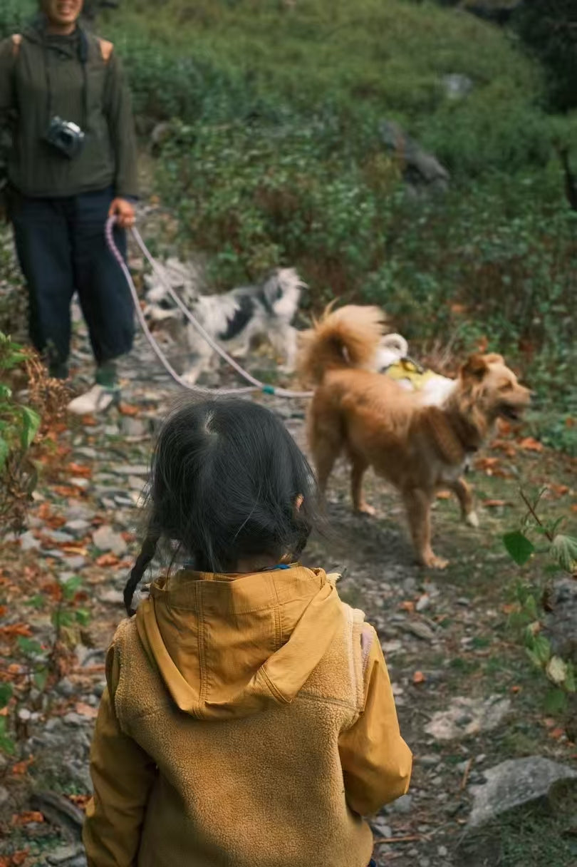 西の山の中の「親戚」の家で過ごした一日 | 苍山の反対側 