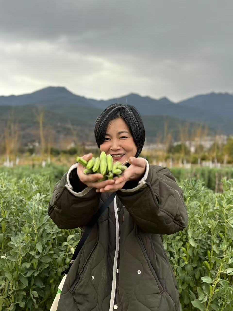 去有機農場採摘| 和紅紅一起在家做飯