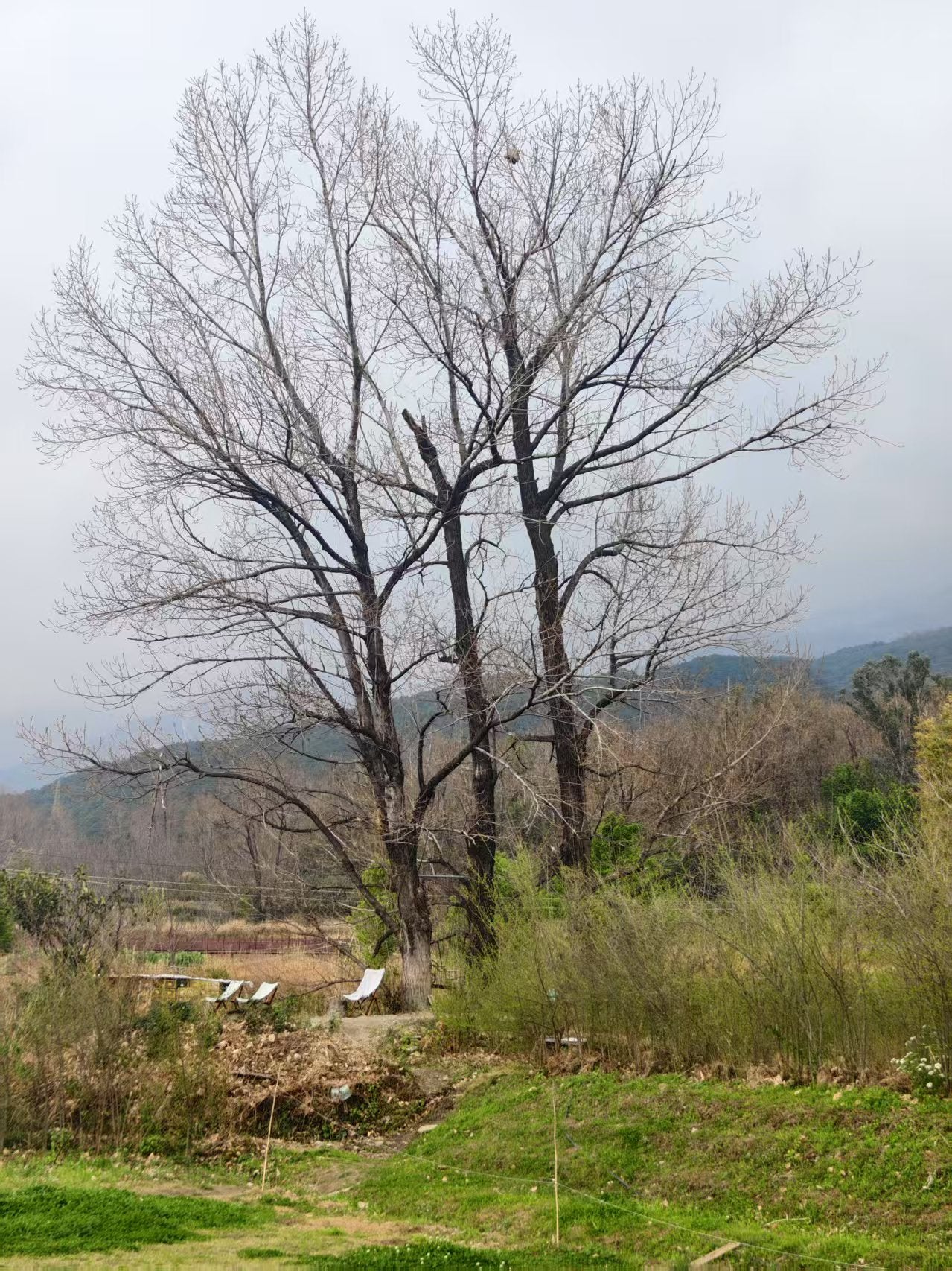 En bicicleta por Dali | Explorando los pueblos y la gente al pie de la montaña Cangshan