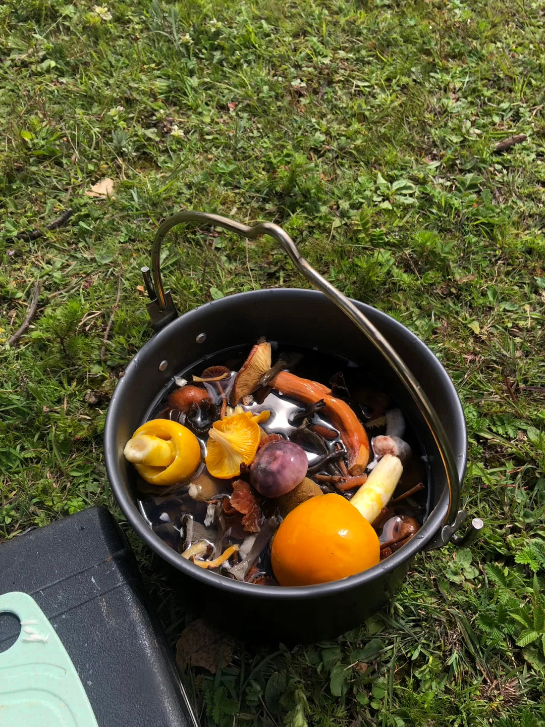 采蘑菇｜森林｜过家家