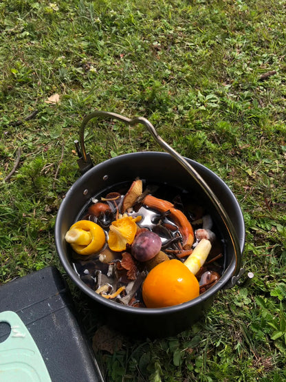 采蘑菇｜森林｜过家家