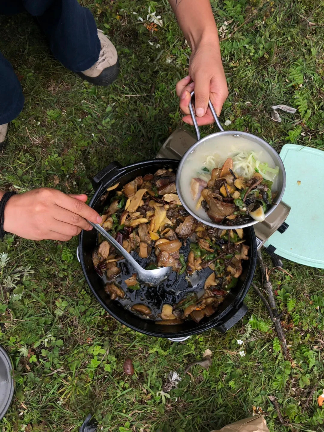 采蘑菇｜森林｜过家家