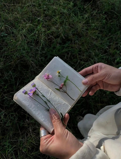 采蘑菇｜森林｜过家家