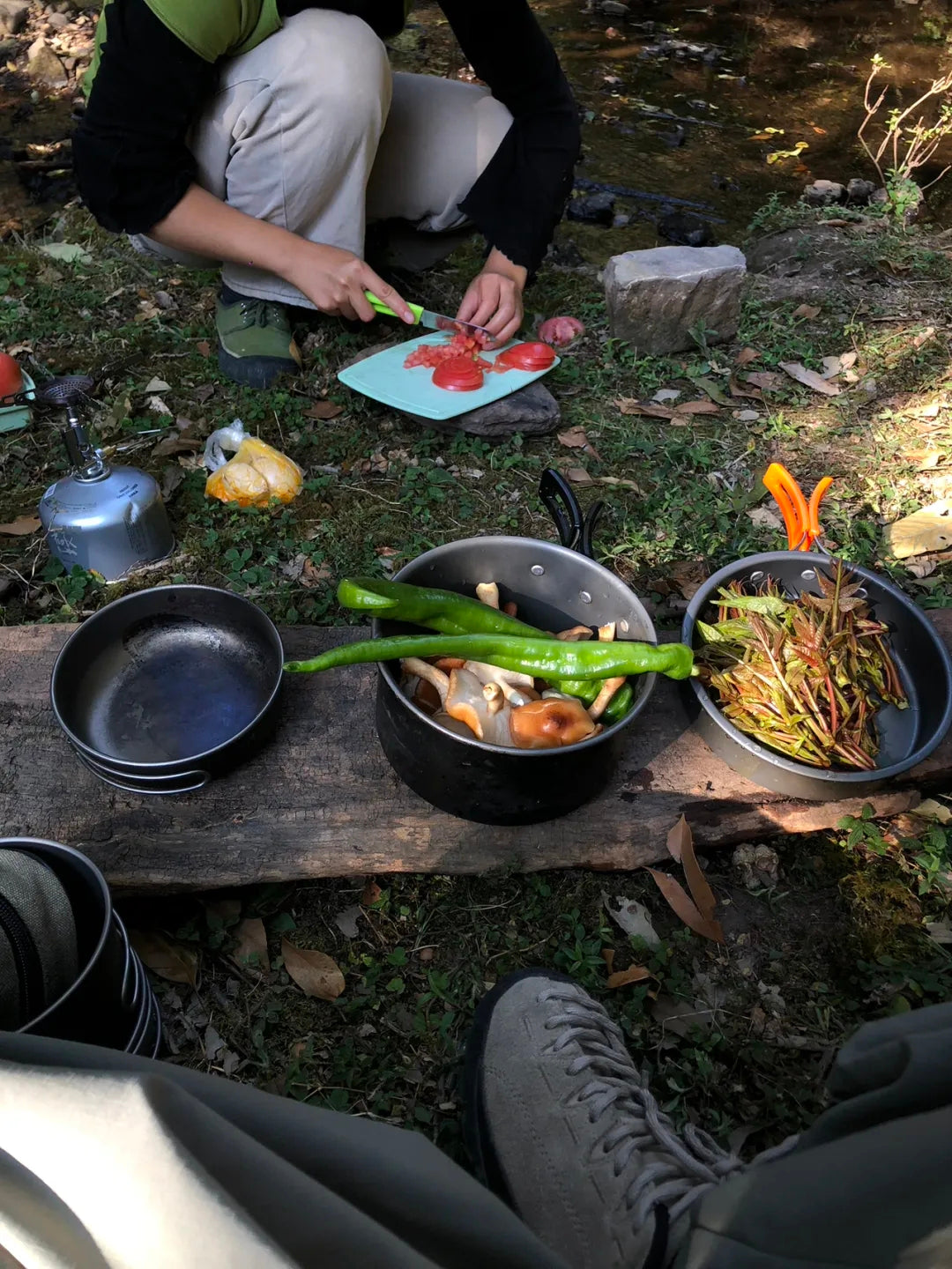 采蘑菇｜森林｜过家家