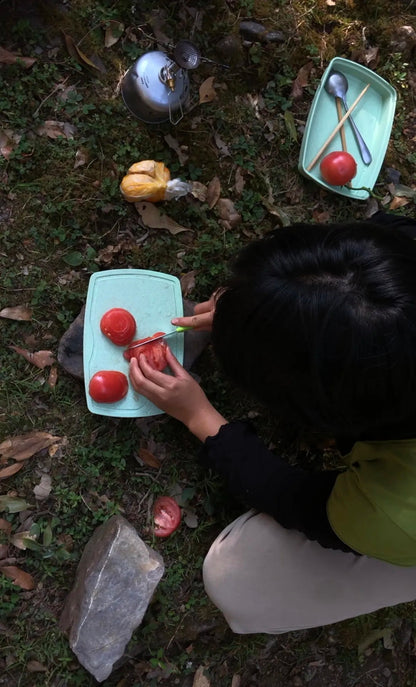 采蘑菇｜森林｜过家家