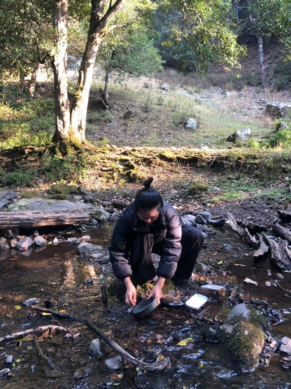 采蘑菇｜森林｜过家家