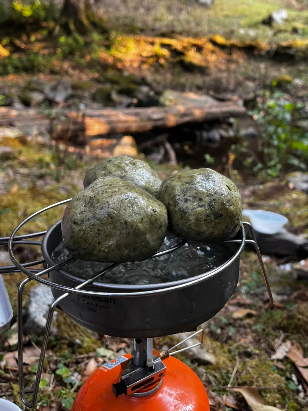 采蘑菇｜森林｜过家家