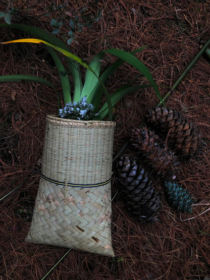 采蘑菇｜森林｜过家家