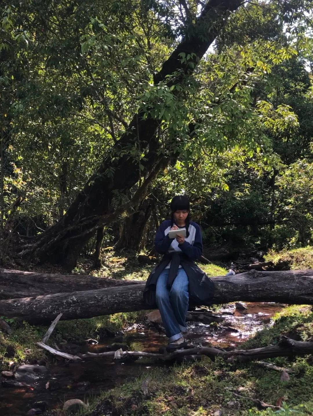 采蘑菇｜森林｜过家家