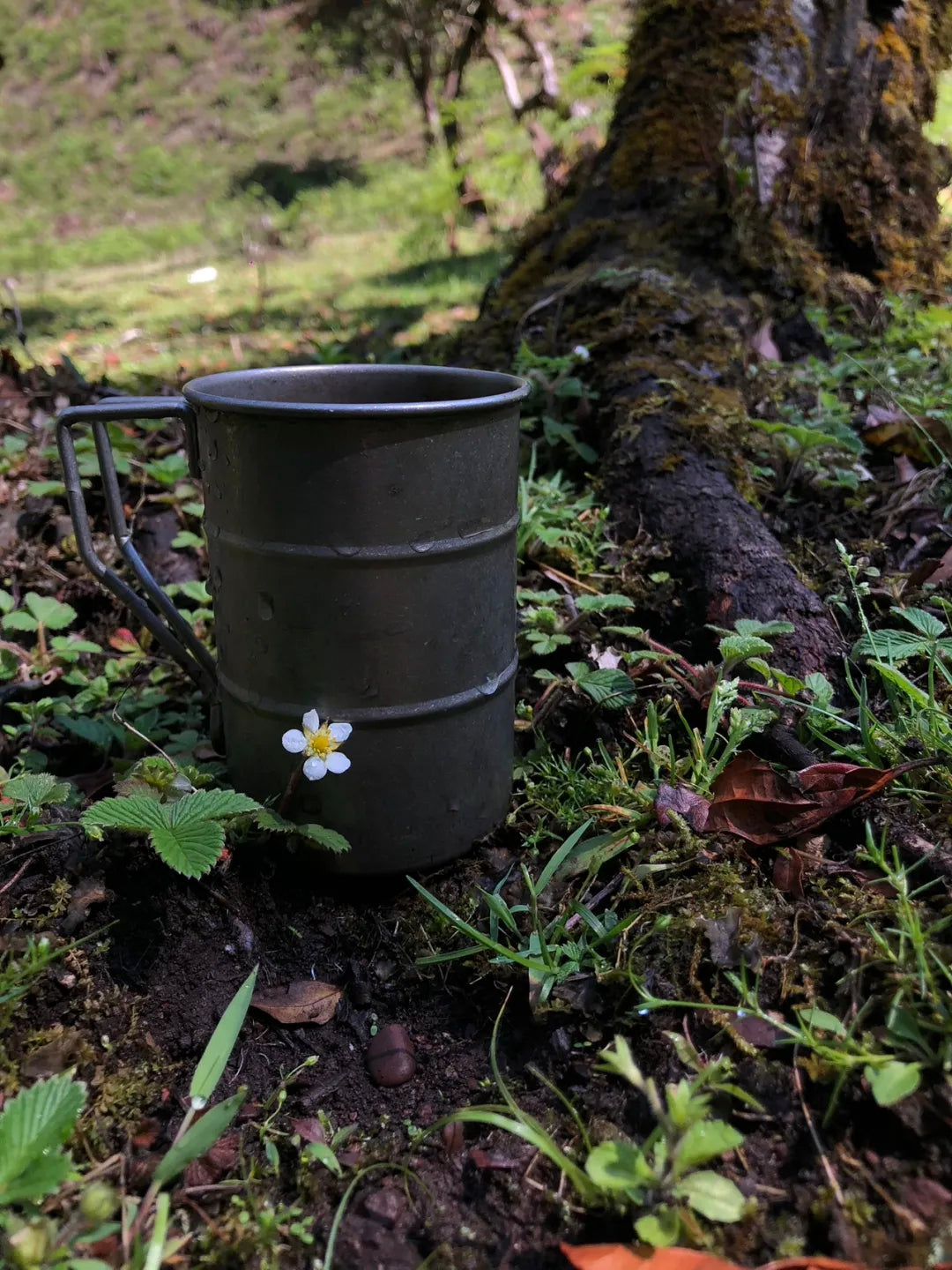 采蘑菇｜森林｜过家家