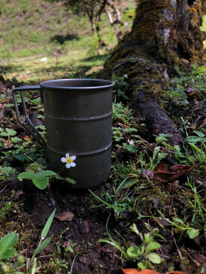 采蘑菇｜森林｜过家家