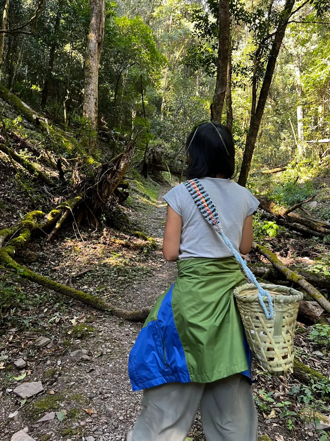 采蘑菇｜森林｜过家家