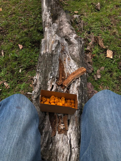 采蘑菇｜森林｜过家家