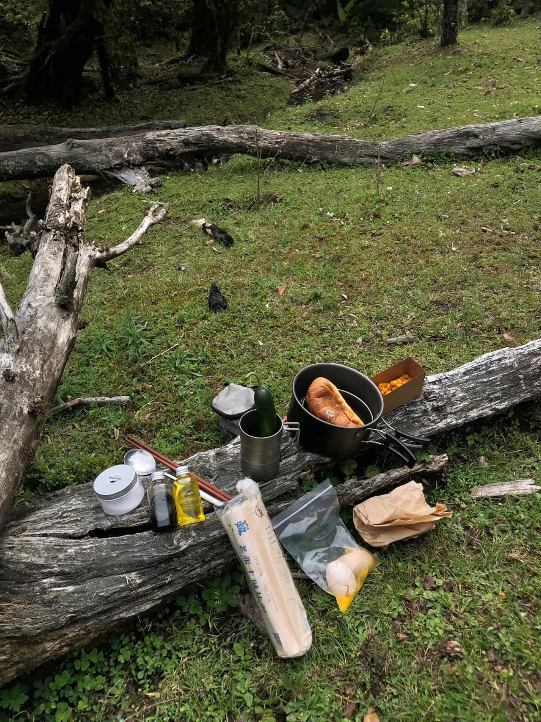 采蘑菇｜森林｜过家家