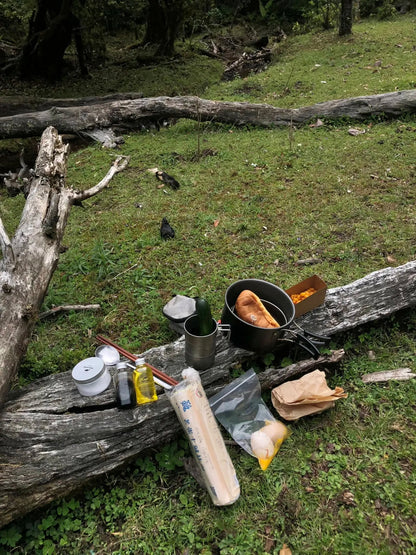 采蘑菇｜森林｜过家家