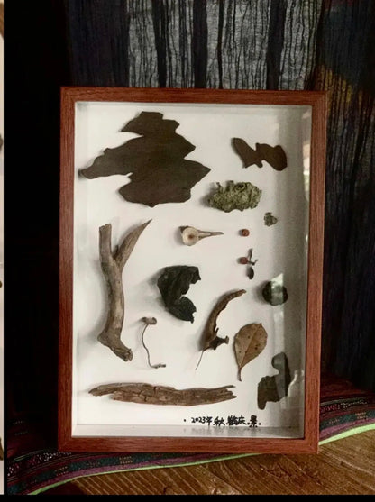 采蘑菇｜森林｜过家家