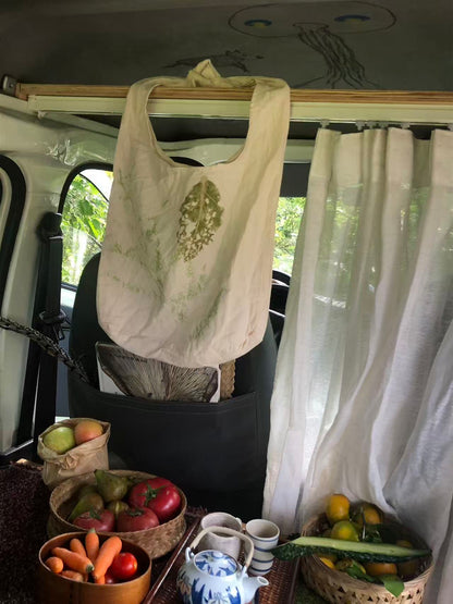 面包车旅行 | 乡村树林和植物的采集·野餐