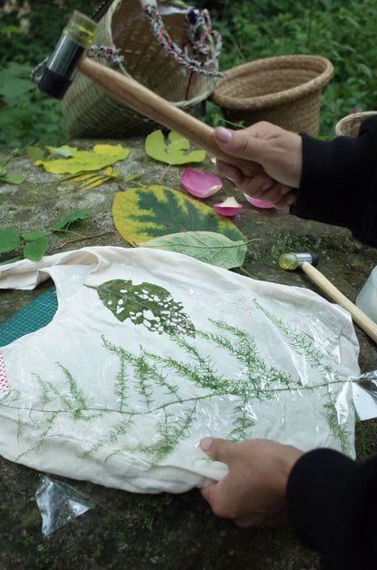 面包车旅行 | 乡村树林和植物的采集·野餐