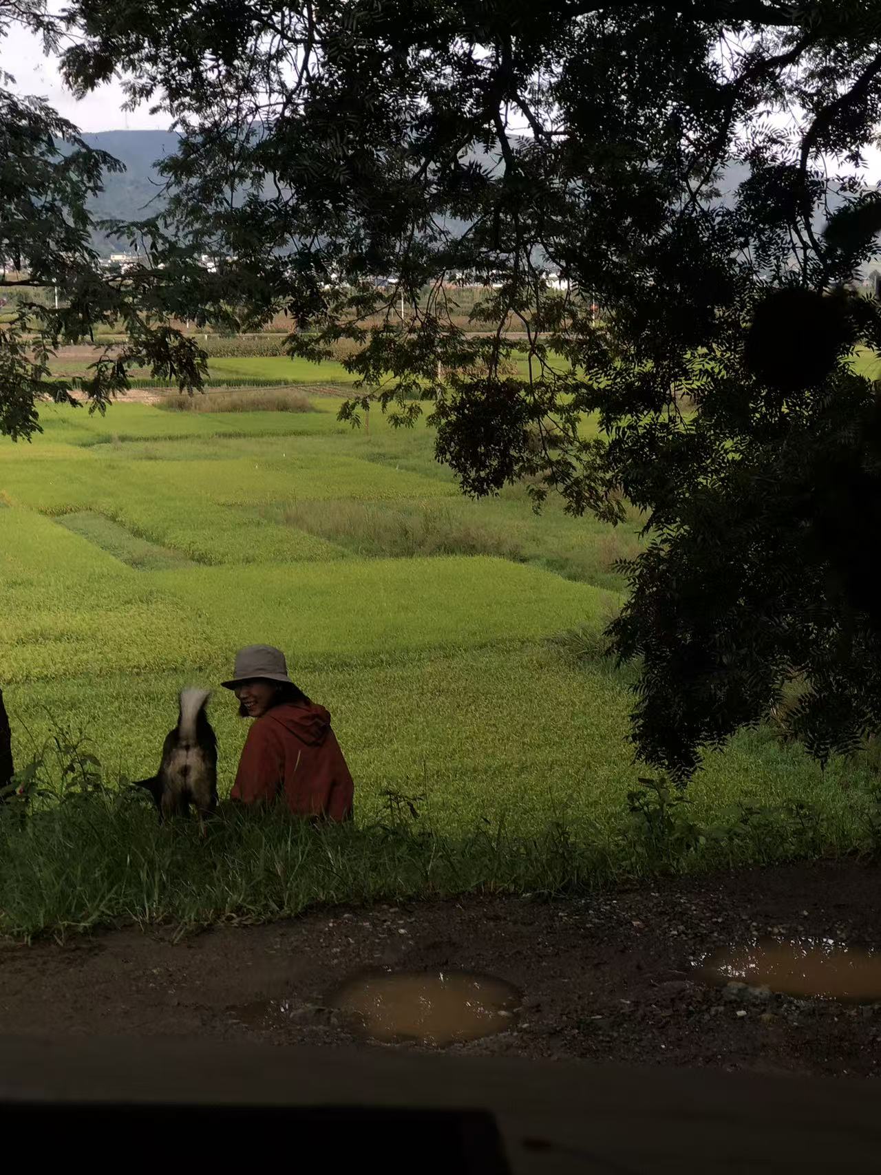面包车旅行 | 乡村树林和植物的采集·野餐