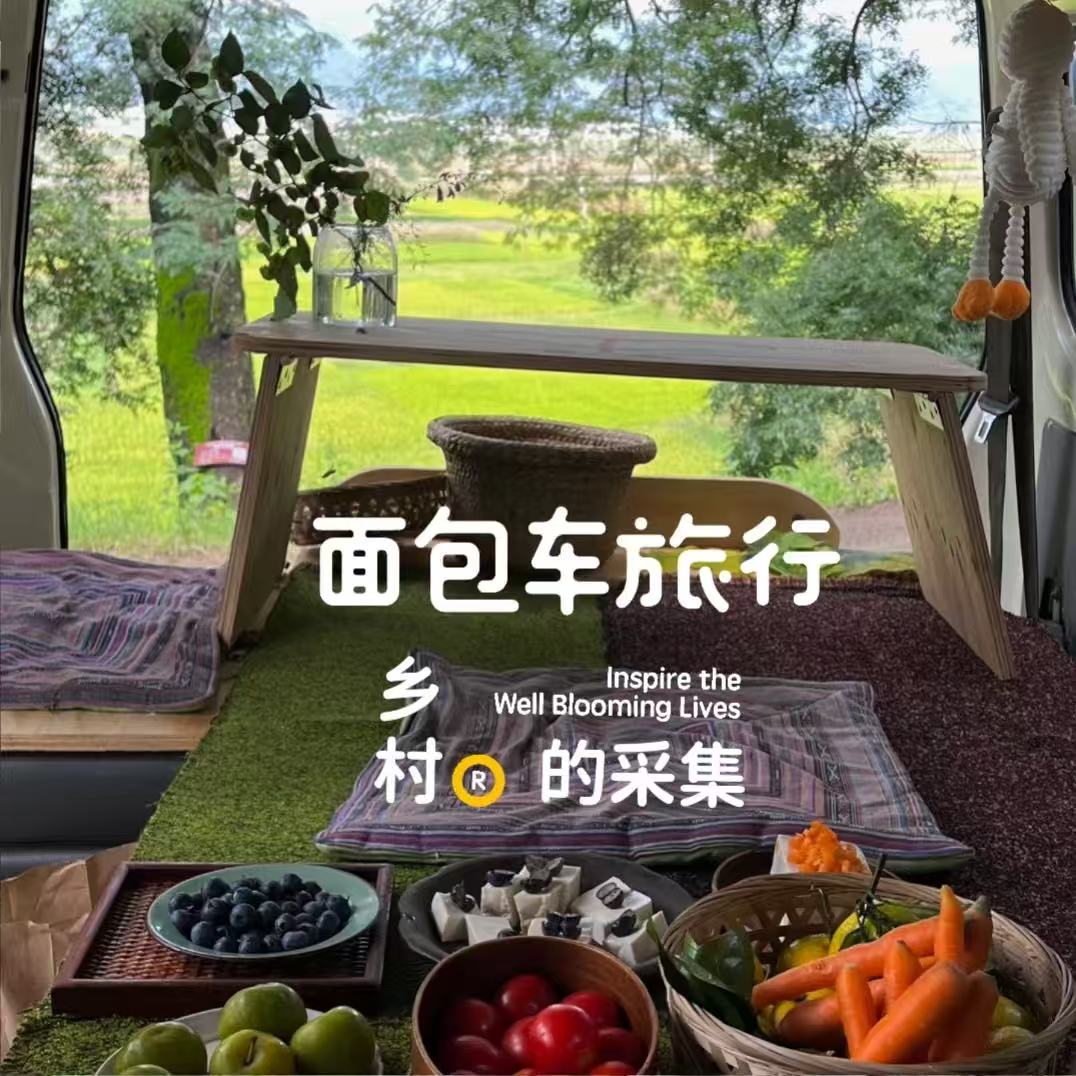 面包车旅行 | 乡村树林和植物的采集·野餐