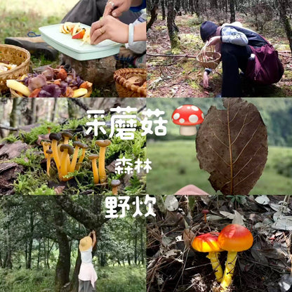 采蘑菇｜森林｜过家家