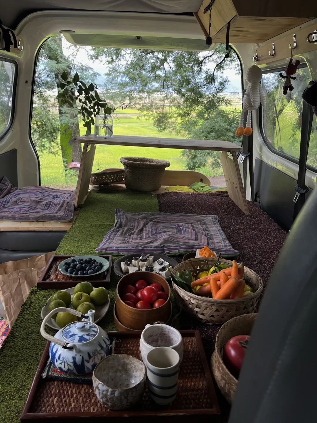 面包车旅行 | 乡村树林和植物的采集·野餐