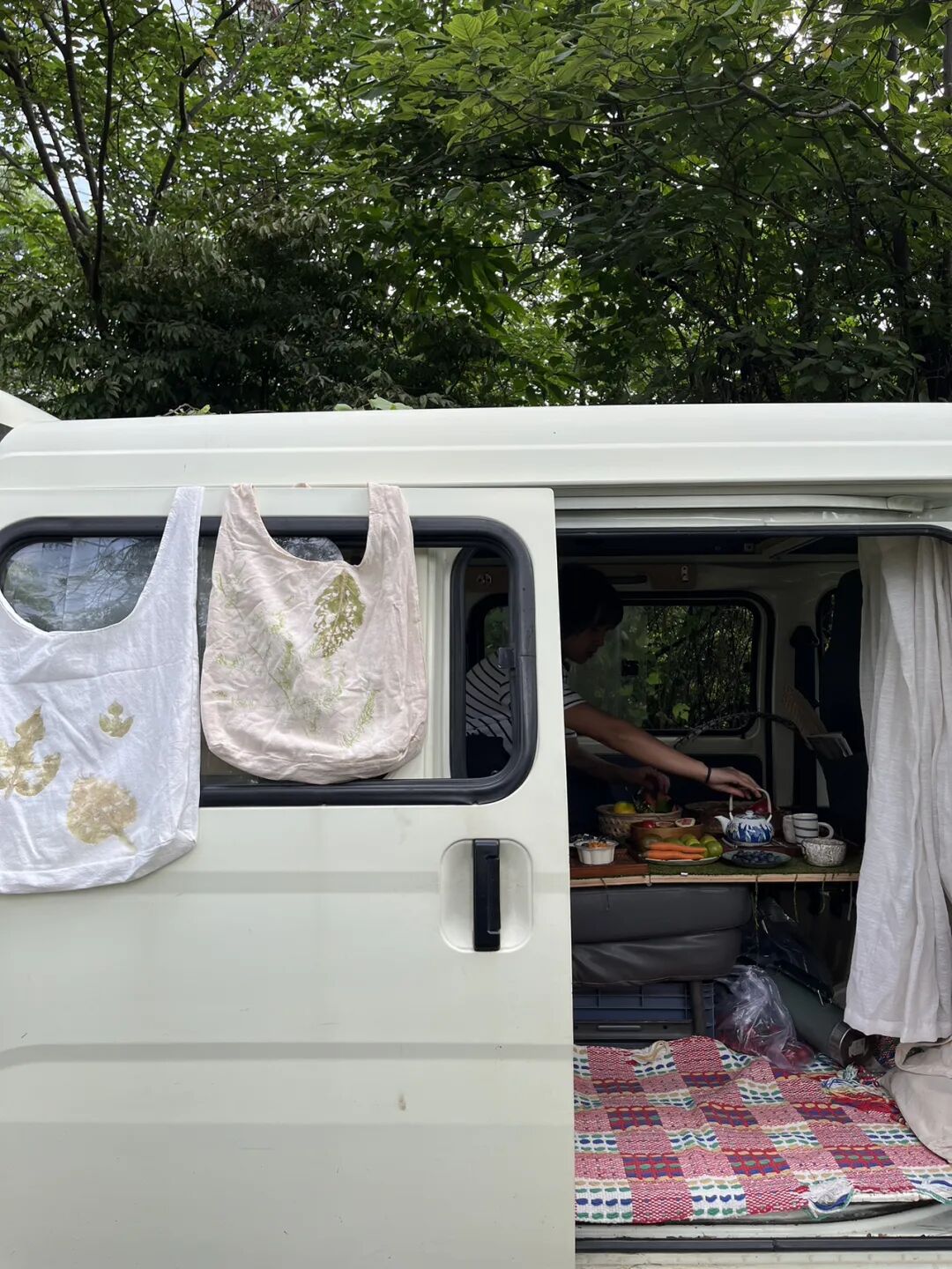 面包车旅行 | 乡村树林和植物的采集·野餐