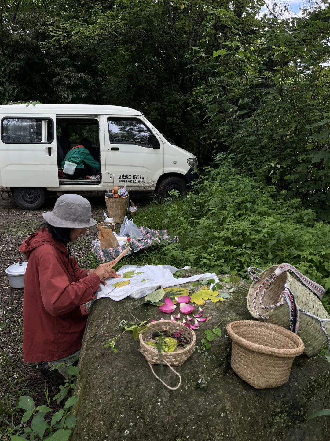 面包车旅行 | 乡村树林和植物的采集·野餐