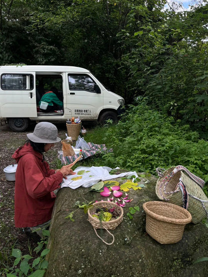 面包车旅行 | 乡村树林和植物的采集·野餐