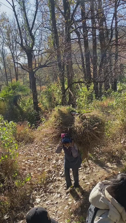 Wandern im Meixi Canyon | Tempel, Mine, Ende der Jade Belt Road (mittlere Entfernung)