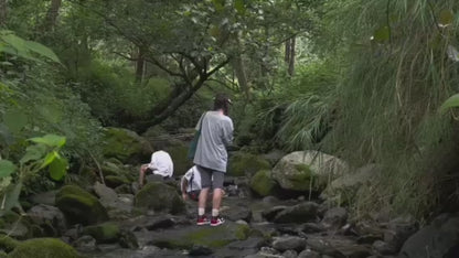 Caminata por el río en el arroyo para niños de 6 años en adelante