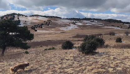 Muxiangping｜Caminata ligera por la pradera alpina