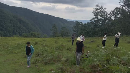 (Junio-noviembre) Campamento en la ladera oeste de la montaña Cangshan