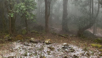 Un día en la casa de un &quot;pariente&quot; en las profundas montañas de Xipo | El otro lado de la montaña Cangshan