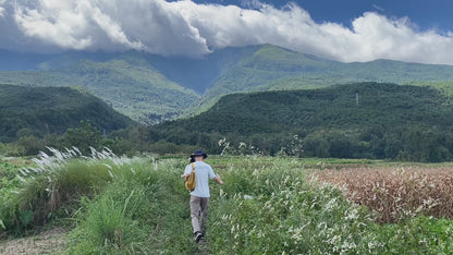 広い松坪軽歩行 | 田園・小川・森 