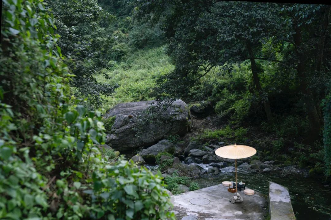 Ve a la casa de té en el bosque para probar té tostado.