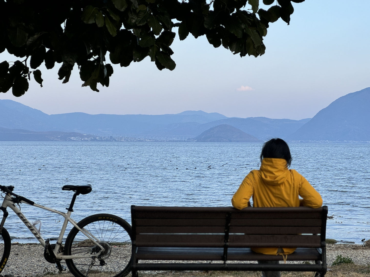 Radfahren in Xizhou | Mit Randy Dörfer, Felder und den Erhai-See erkunden