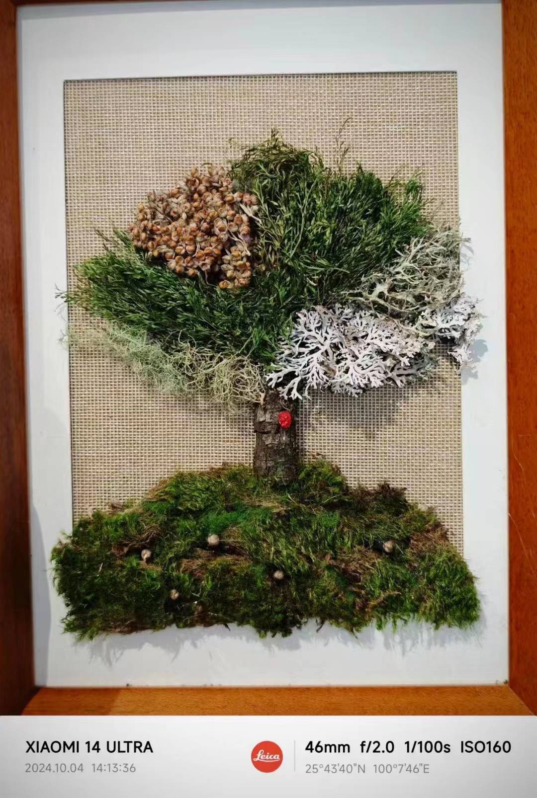 植物や果物を使って絵の額を作ります。 