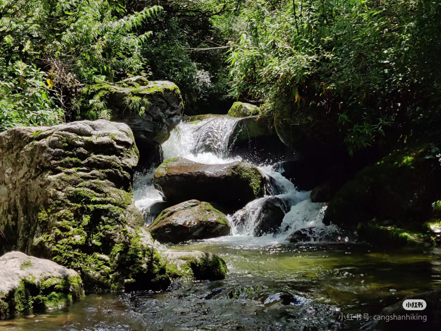 Hiking to Boluo temple and enjoy the vegan food