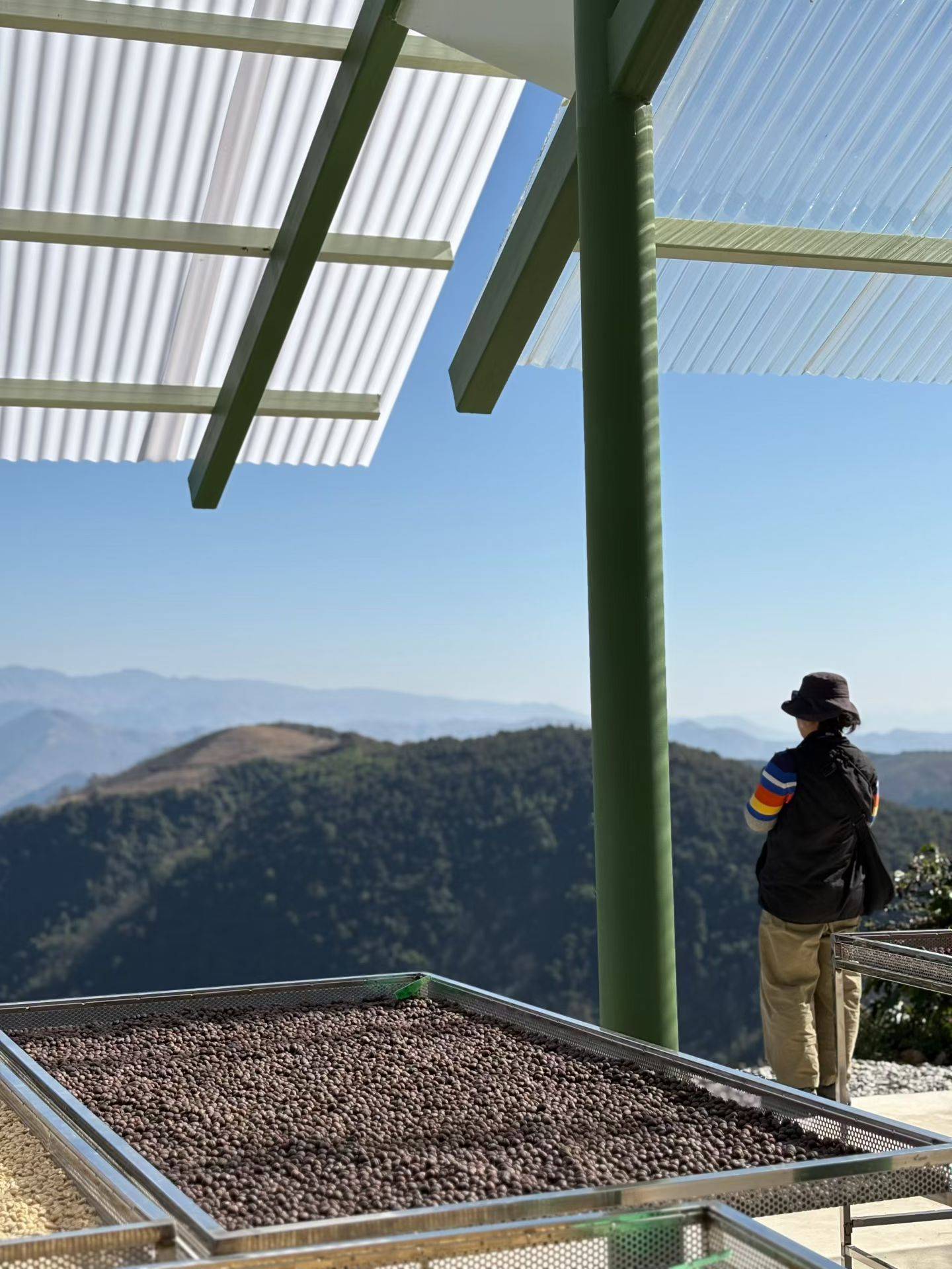怒江2日旅行｜咖啡晒场 南部边境 温泉