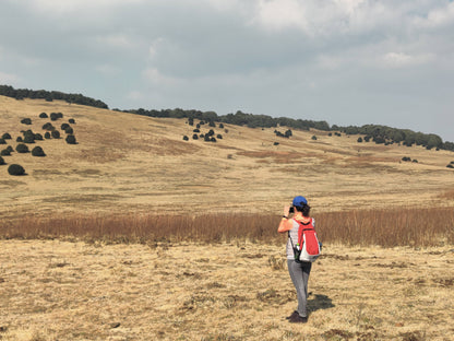 Muxiangping｜Caminata ligera por la pradera alpina