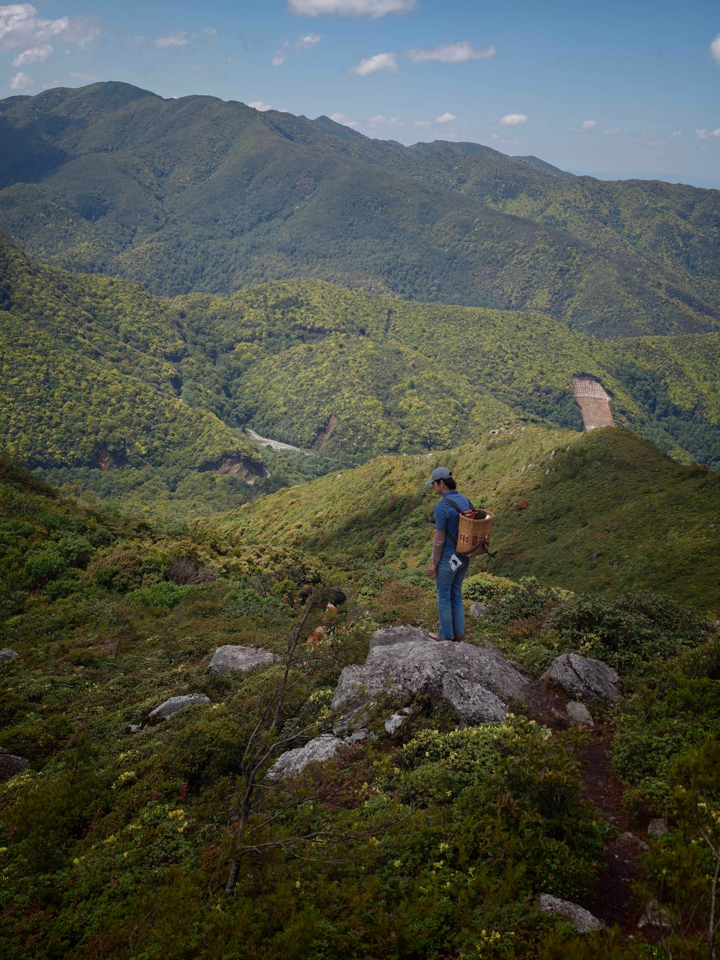 Hanhan's Ailao Mountain Forest Hike (2-day trip)