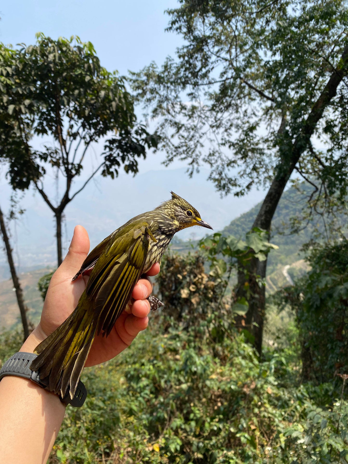 怒江2日旅行｜咖啡晒场 南部边境 温泉